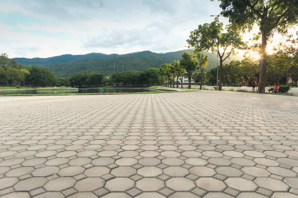 Best Driveway Paving Contractor  in Thompson Falls, MT